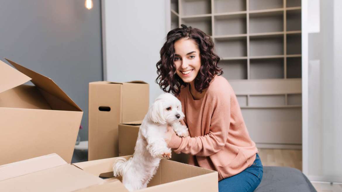 Safely Move with Pets